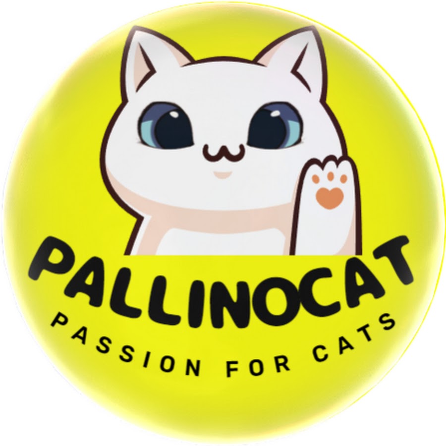 PALLINO CAT - DENIS - passion for cats 