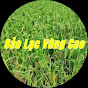 Bảo Lạc Vùng Cao