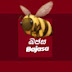 බජස(Bajasa) channel