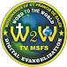 W2W TV MSFS