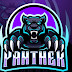 Panther Arts and Gaming 