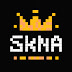 logo sKingNA