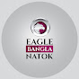 Eagle Bangla Natok youtube avatar