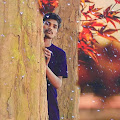 Artist Thumbnail