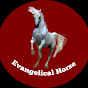 Evangelical horse