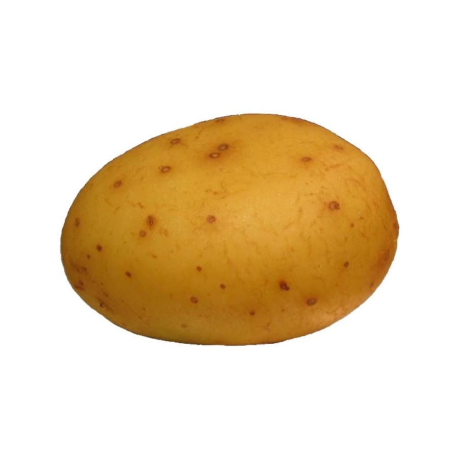 Картошка на прозрачном фоне