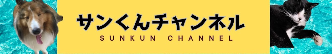 Sun kun channel