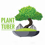 Plant Tuber