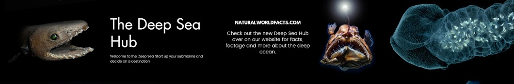 Natural World Facts Banner