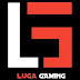 logo Luga95