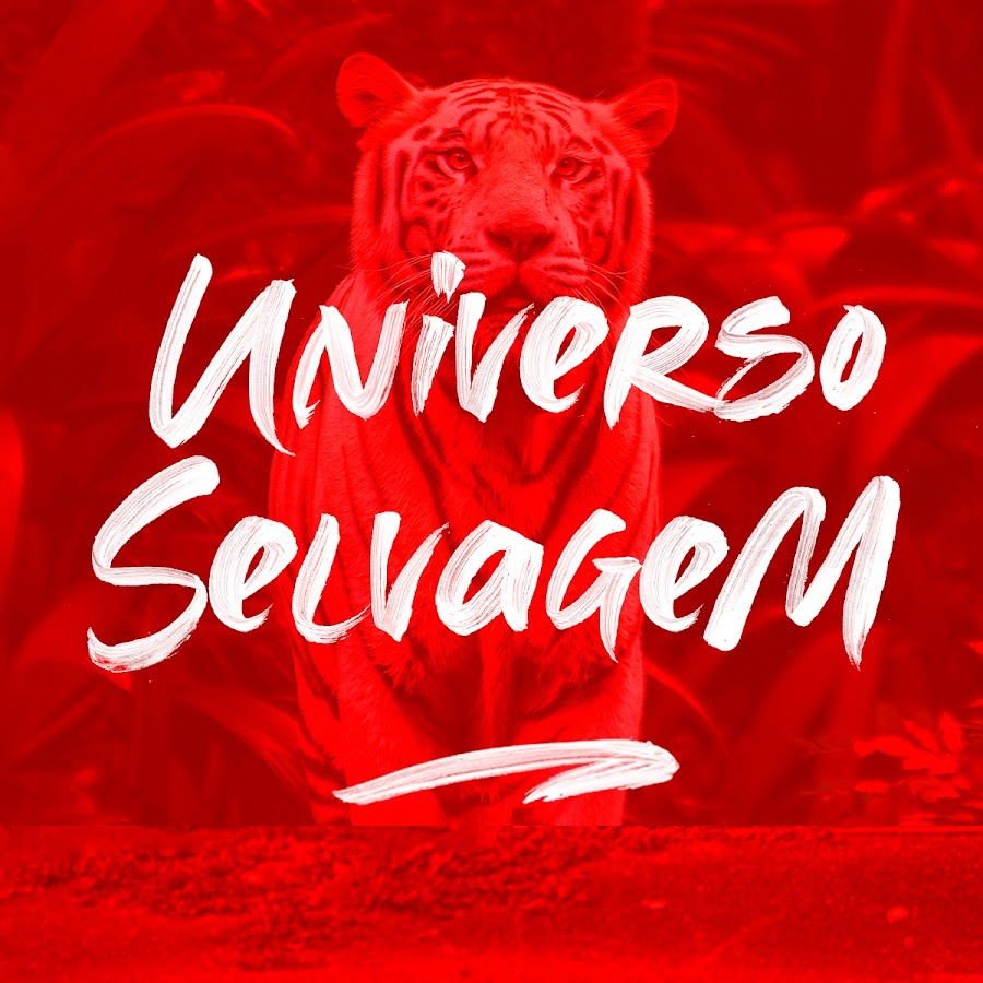 Universo Selvagem