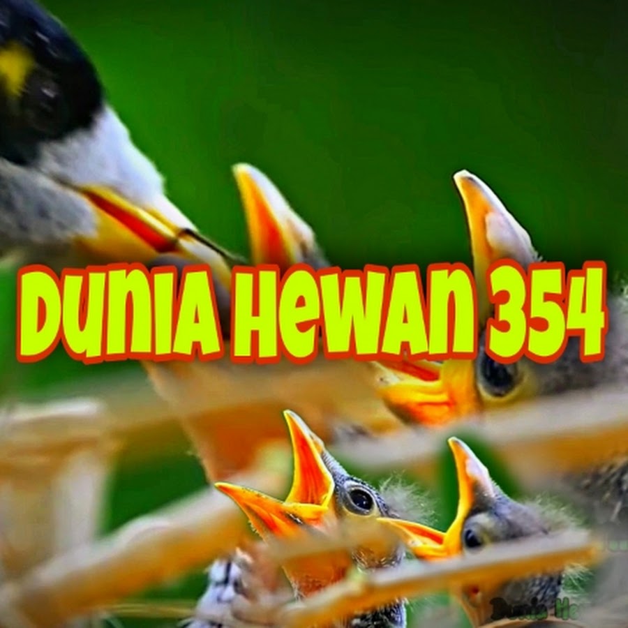 Dunia Hewan 354