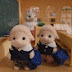 Sylvanian Friends Collection 