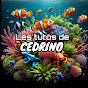 Les Tutos de CEDRINO