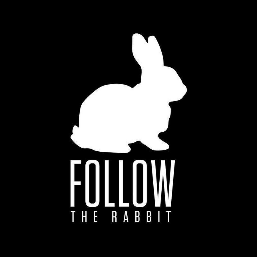 White following. Follow the White Rabbit. За белым кроликом. Иди за белым кроликом. White Rabbit матрица.