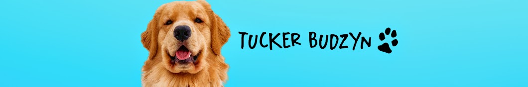 Tucker Budzyn Banner