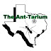 The Ant-Tarium