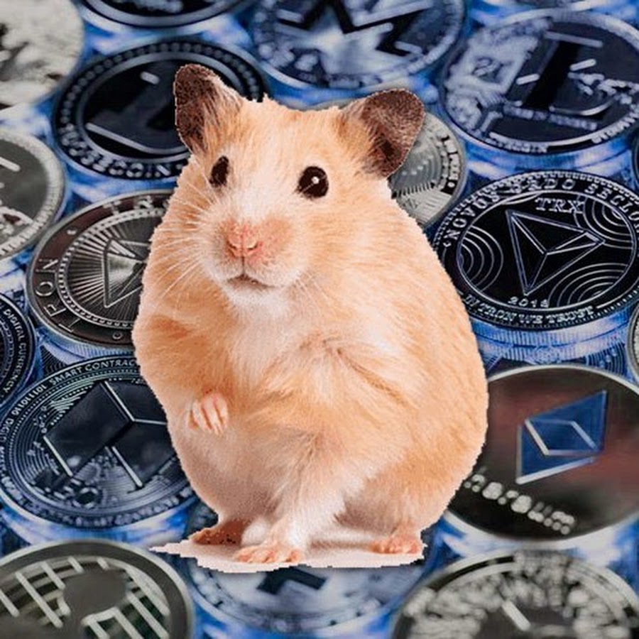 hamster crypto