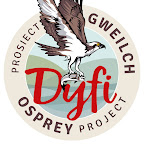 Dyfi Osprey Project