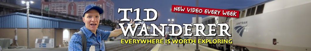 T1D Wanderer Banner