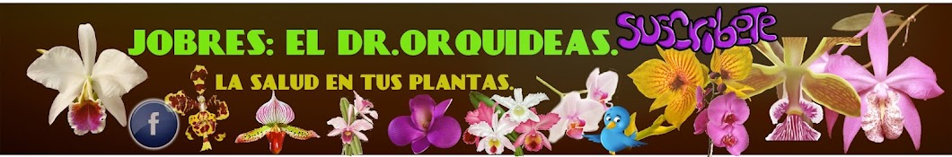 Jobres: El Dr. Orquídeas