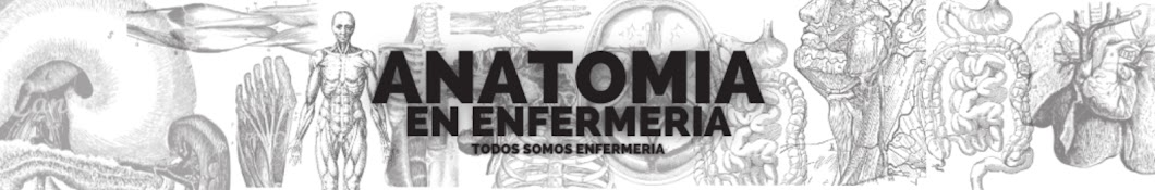 Asesorias de Anatomia & TSE