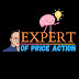 logo Expert Of Price Action