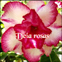 Deia Rosas