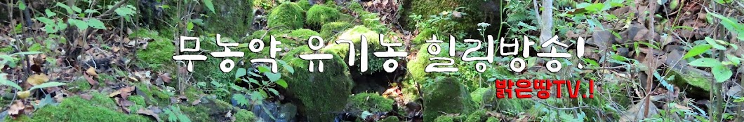 밝은땅 TV.