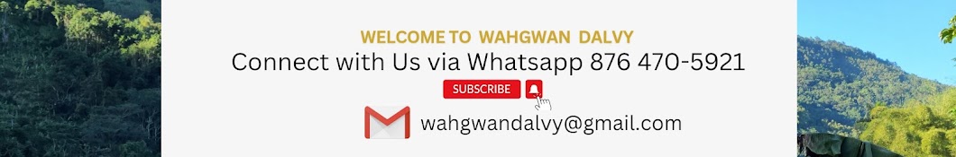 WahGwan Dalvy Banner