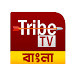 Tribe TV