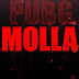 Pubg Molla