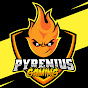 Pyrenius Gaming