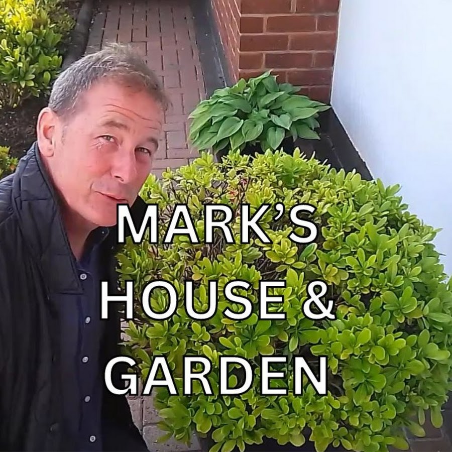 Marks House and Garden UK