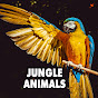 Jungle Animals