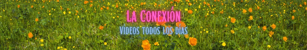 La Conexión