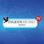 PIGEON DUIWE NEWS TV