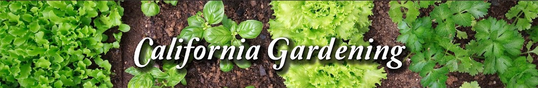 California Gardening (Organic, Easy Garden Tips)