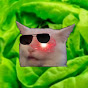 Salad-catman