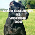 GOOD GUARDIAN K9 (Working Dog)