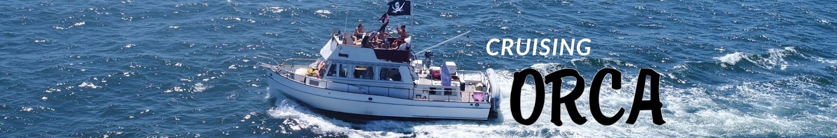 cruisingorca5664