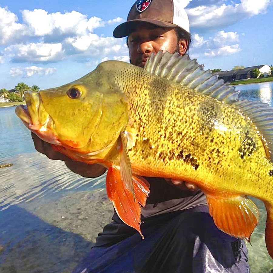 Monster Mike Fishing @monstermikefishing