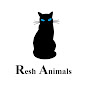 Resh Animals