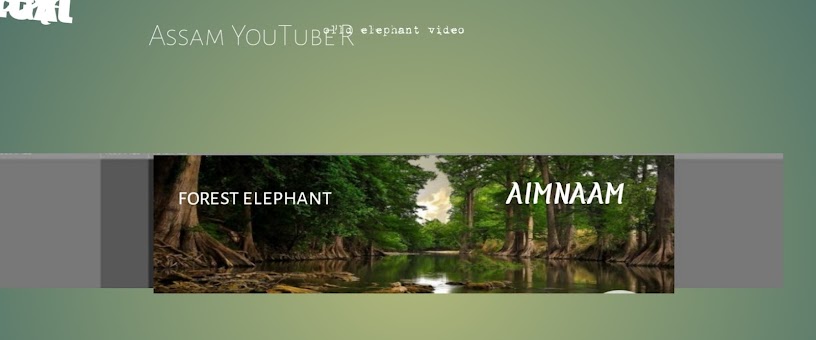 Artist Thumbnail