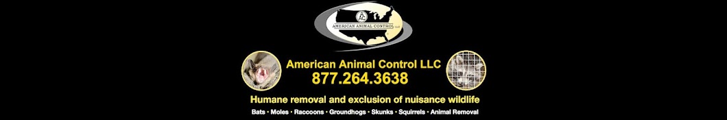 American Animal Control