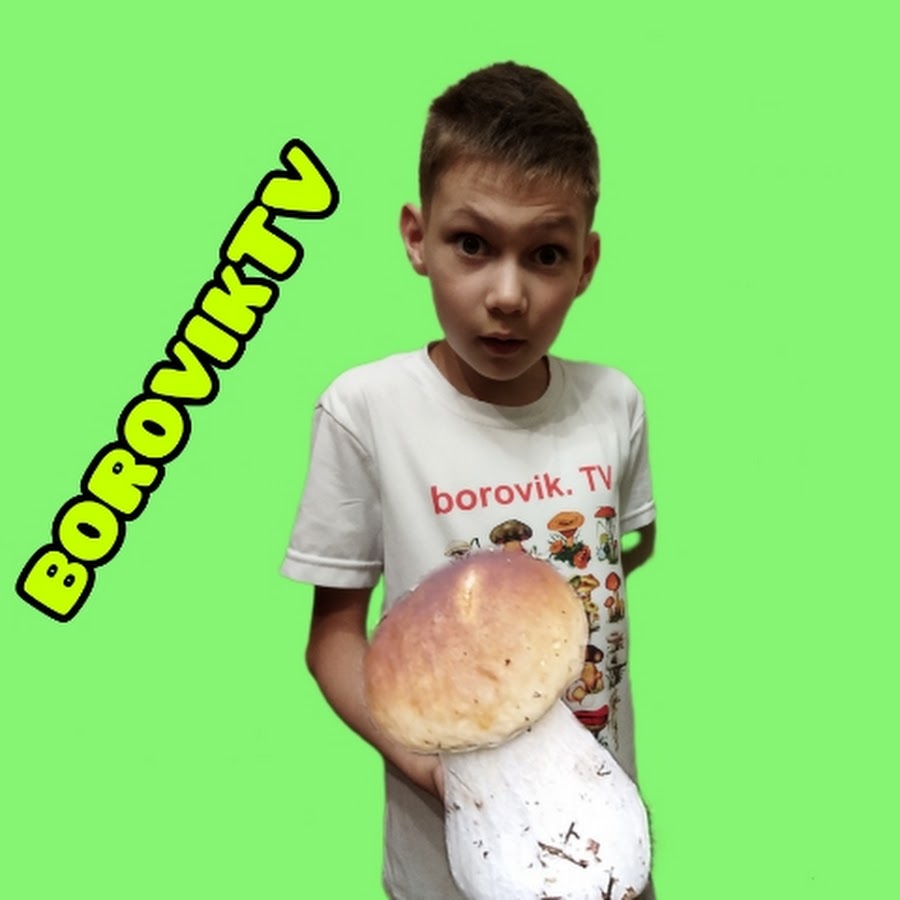 borovik TV - YouTube