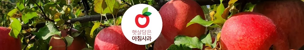 영월맛있는사과 참잘농장