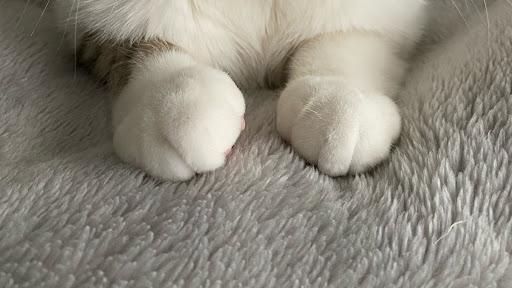 배너 이미지