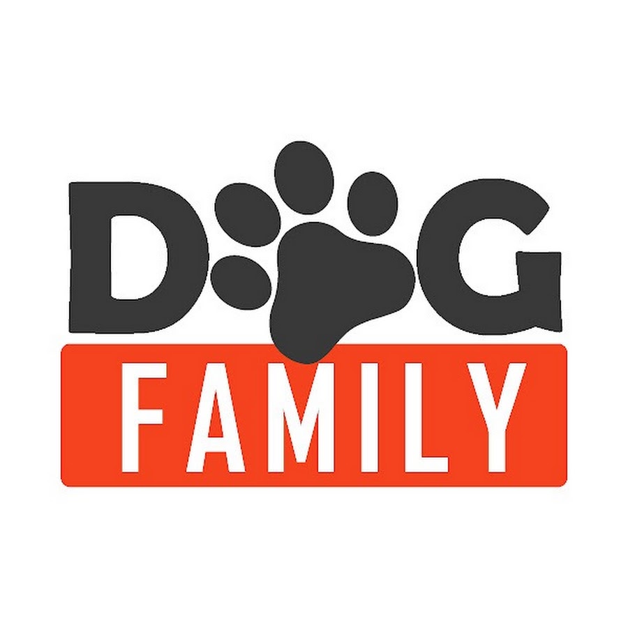 Dogs Are Family’s YouTube Stats and Analytics | HypeAuditor ...