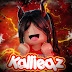 logo Kallieqz